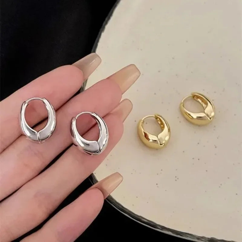 Vintage Chunky Stainless Steel Hoop Earrings For Women Fashion Simple Round Circle Simple Earrings Party Jewelry Holiday Gifts
