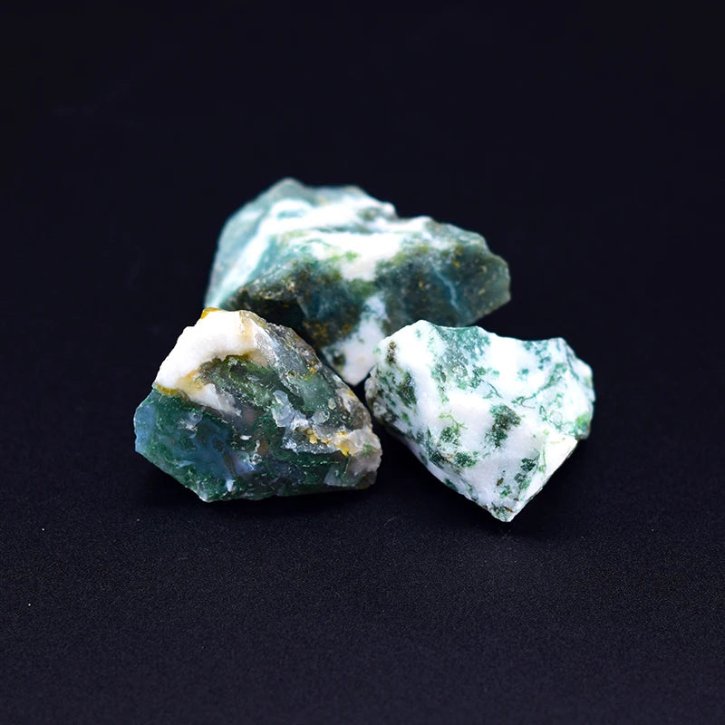 Genuine Tree Patterned Agates Beads Bracelet Woman Real Natural Moss Agates Bracelets Man Energy Stones for Healing Fengshui